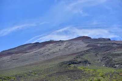 DSC_3616 (Large).JPG